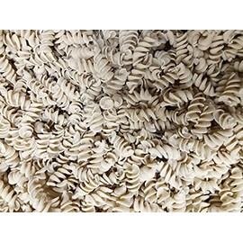 Organic Bread of Heaven ~ High-Fiber Sourdough Fusilli Noodles 2 pkgs ~ USDA Organic