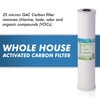 APEC Water Systems FI-CAB20-BB APEC 20" Whole House High Flow