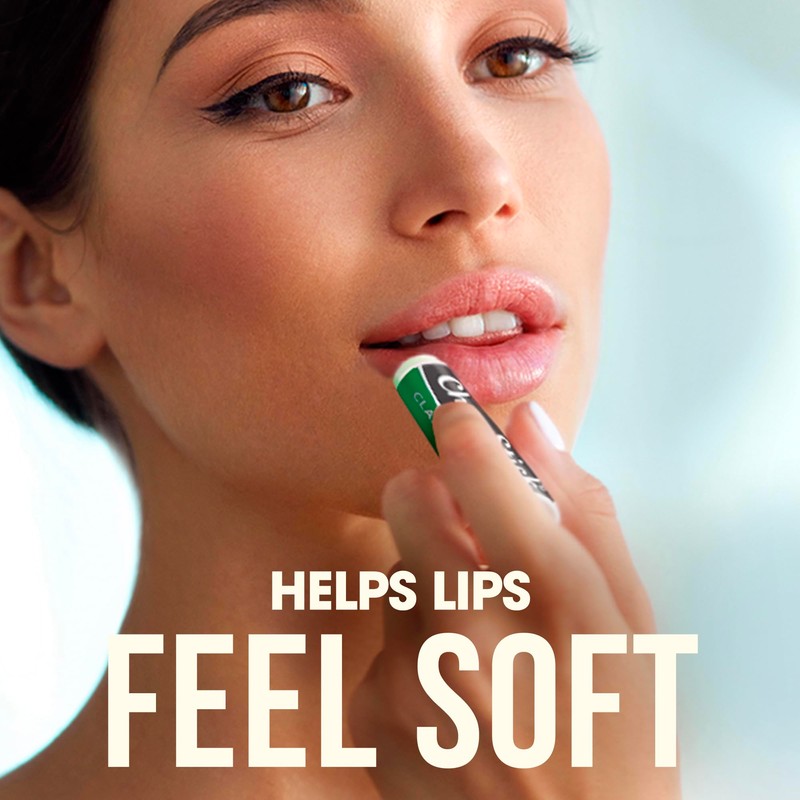 ChapStick Bulk Lip Balm, Classic Spearmint 12-Pack – Cool &