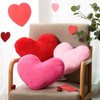 AWIZOM 3 Pcs Valentine's Day Heart Pillows Red Pink Rose