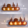 TOCHIC Rustic Vanity Lights Over Mirror 4 Lights Dimmable Cabin