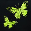 Flying Banner Butterfly car seat Covers ful Set Fashion Universal