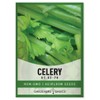 Gardeners Basics, Celery Seeds for Planting - UT 52-70 Variety