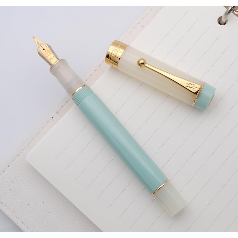 JINHAO 100 Fountain Pen with Ink Converter (Medium Nib 0.7mm,