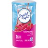 Crystal Light Sugar-Free Raspberry Ice Drink Mix (4 Pitcher Packets)