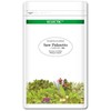 eclectic saw palm (saw palmet) Eco pack 600 mg x 180 capsules ec184