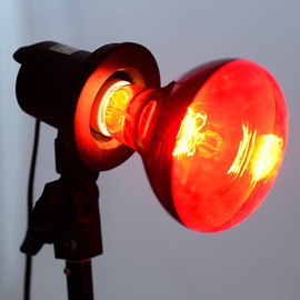 BONGBADA 6 Pack Heat Lamp Bulb R95 125 Watt Full Red Infrared Glass Lamp Bulb for Food Service, Brooder Bulb,Chicks, Pet, Bathroom,Light Therapy,Reptiles and Amphibian Use E26 Base