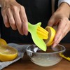 Lemon Squeezer with Splash Guard and Core Catcher, Fruit Press,