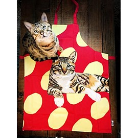 Tabby Cat Kitchen Apron by Leslie Gerry