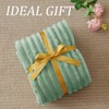 BEDELITE Fluffy Fleece Throw Blanket - Sage Green Sofa Throw