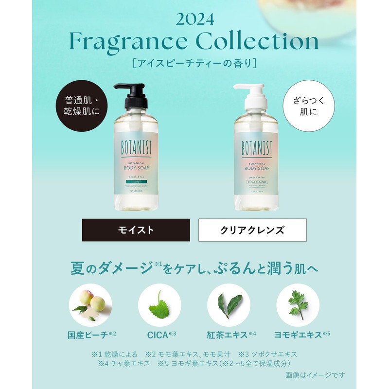 BOTANIST Botanist | Body Soap, Clear Lens Ice Speech Tea