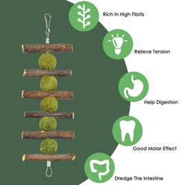 ERKOON Rabbit Accessories, 10 Types of Rabbit Chew Toy, Rabbit Activity Small Animals, Natural Timothy Hay Sticks, Apple Sticks, Dental Care, Treats, Chinchilla, Guinea Pigs, Gerbils