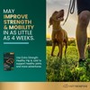 VETRISCIENCE VetriScience Extra Strength Healthy Hip & Joint Chews, GlycoFlex