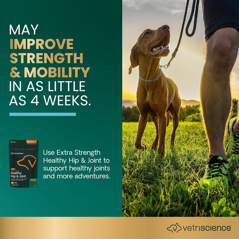 VETRISCIENCE VetriScience Extra Strength Healthy Hip & Joint Chews, GlycoFlex