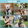 Gooby Escape Free Easy Fit X in Dog Harness -