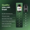 Sandhu's Liver Renew Limpieza Y Detox Hepático 140 Cápsulas