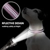 Aiminto Adjustable Nylon Reflective Martingale Dog Collar for Training and