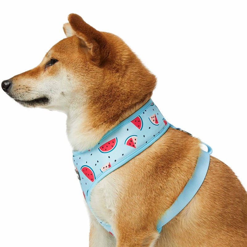 Blueberry Pet Summer Sparkle Dog Harness Vest, Adjustable Medium Size,