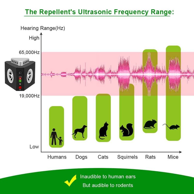 Angveirt Ultrasonic Rodent Repellent Plug-in Indoor, Mouse & Rat Deterrent