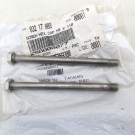 Sea-Doo Sea Doo OEM M8x110 Hexagon Hex Cap Screws Bolts 250000077 Set of 2