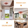 DoungRos Pink Pendant Light Mid Century Pendant Lamp Nordic Pendant
