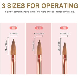 3 Pcs Acrylic Nail Brush Set – Professional Nail Art Brushes for Acrylic Powder Application, DIY Designs, and Salon-Quality Results