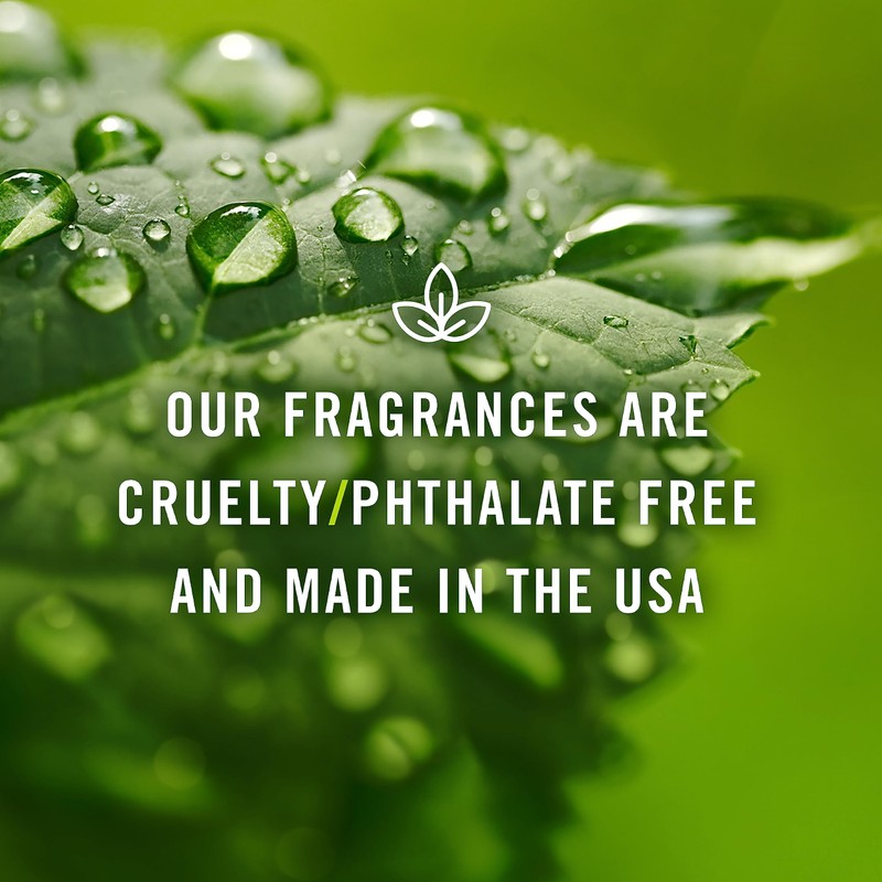 P&J Trading Fragrance Oil for Diffusers for Home - Sugar