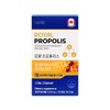 로얄 프로폴리스 500mg 180캡슐 Royal Propolis 500mg 180 Capsules