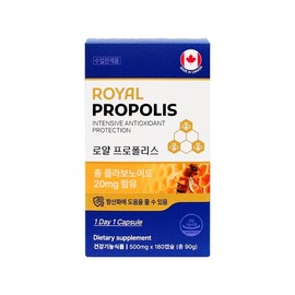로얄 프로폴리스 500mg 180캡슐 Royal Propolis 500mg 180 Capsules