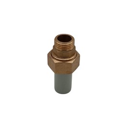 PPR Fittings: Threaded Connector. Polypropylene Female Thread Connection (Male Thread Connection 20 x 1/2)