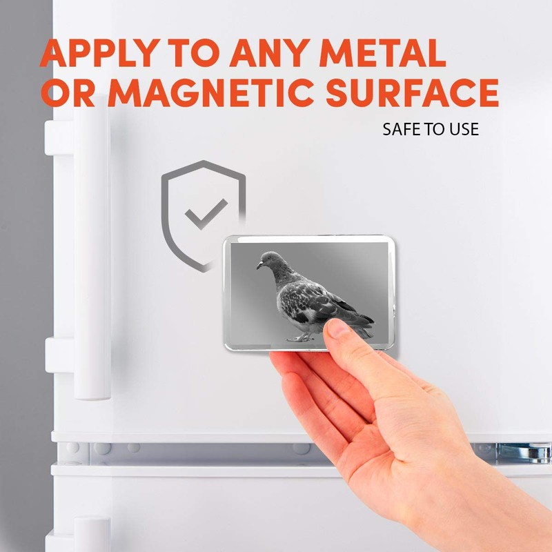 1 x Fridge Magnet - Grey Pigeon Wildlife Bird #36218