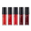 Waterpitt 워터핏 틴트 5g Water Fit Tint 5g [Waterfit Tint 5g]