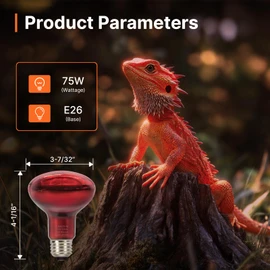ALAMPEVER 2 Pack Red Heat Lamp Bulb, 75 Watt Infrared Light Bulb for Bearded Dragon, E26 Base, Durable Reptile Heat Bulb for Amphibian, Lizard, Snake, Tortoise, Gecko
