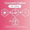 JJI Ceiling Fan Air Filter - Activated Charcoal Ceiling Fan