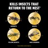 Ortho Home Defense Hornet and Wasp Killer7, Kills and Prevents