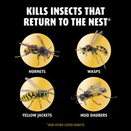 Ortho Home Defense Hornet and Wasp Killer7, Kills and Prevents Wasps, Yellow Jackets, Mud Daubers, and More, 16 oz.