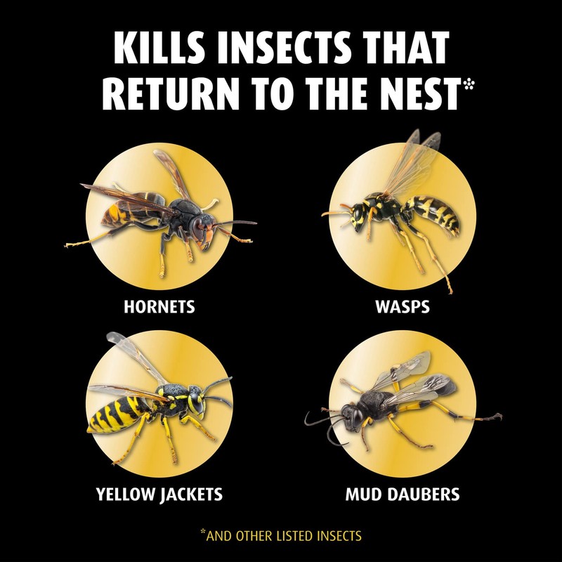Ortho Home Defense Hornet and Wasp Killer7, Kills and Prevents