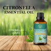 Carno Calm Citronella ätherisches Öl 30 ml | für Diffusor