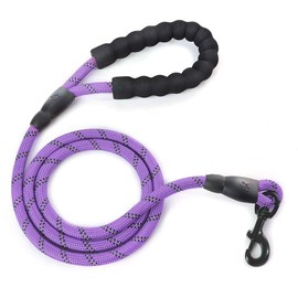 Reflective Nylon Dog Lead Safety for Large or Medium Dogs (Purple)