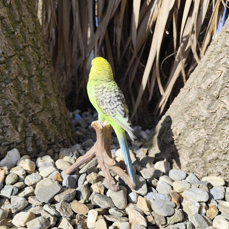 Vivid Arts - Budgies Garden Ornament Bird Sculpture (Budgie, Green)