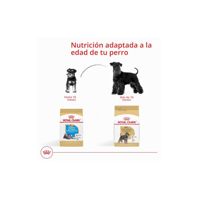 ROYAL CANIN, Puppy - Mini Schnauzer, Croquetas Perro, 1.1kg