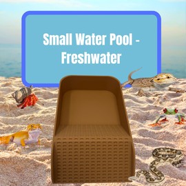 Hermit Crab Watering Pool | Platform Pool Accessory with Access Ramp for Hermit Crabs | 6.5" x 4" | Made in USA (Fresh Only, Tan)