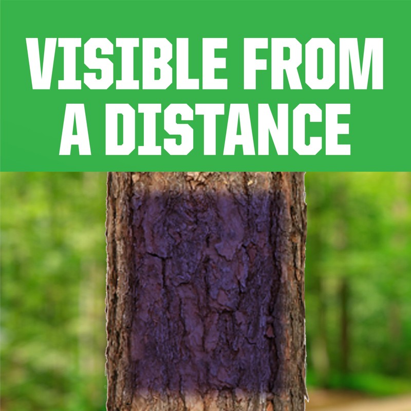 Rust-Oleum 270970-6PK Specialty No Hunting Purple Spray Paint, 12 oz,