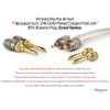 Nakamichi FanLock Excel Series 24K Gold Plated BFA Banana Plug,