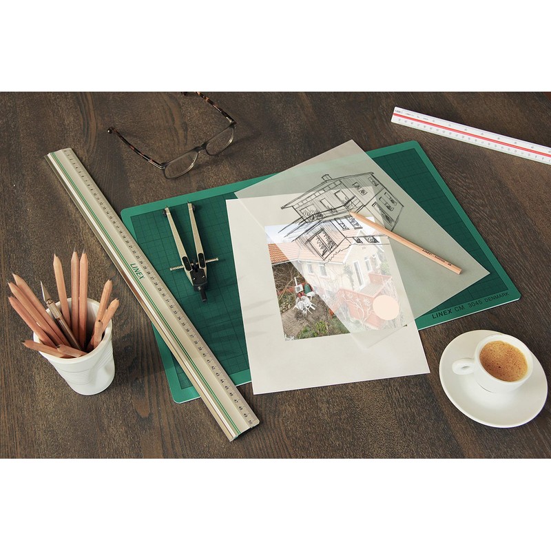 Linex 100:500 300mm Triangular Scale Rule - White