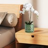 LITUDISO 6+5 Inch Orchid Pots with Holes, Ceramic Orchid Pots