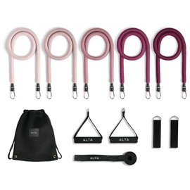 ALTA 'Never-Snap' Exercise Bands with Handles for Women - Full Kit Resistance Bands for Working Out with Handles, Resistance Tubes, Ankle Straps, Door Anchor, Fabric + Rubber Workout Bands Resistance