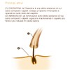 KERAMINE H Fiale AVORIO Capelli Secchi-Sottili Hair Care Products