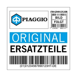 Piaggio Steering Gear Kit for Porter (B004679 & B004680), 1R000272