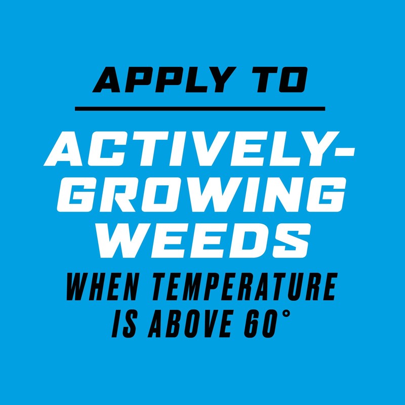 Ortho GroundClear Super Weed & Grass Killer1 with Comfort Wand